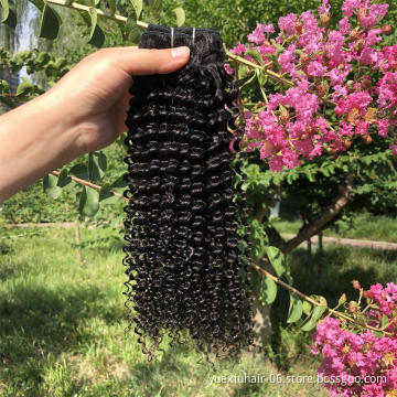 Brazilian Kinky Curly Virgin Hair Bundles Manufacture Wholesale  Virgin Human Hair Unprocessed  Human Hair Bundle